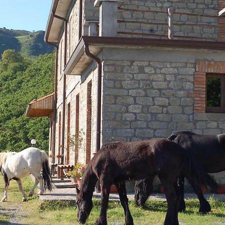 Villa Agriturismo Il Capitano Floresta Exterior foto