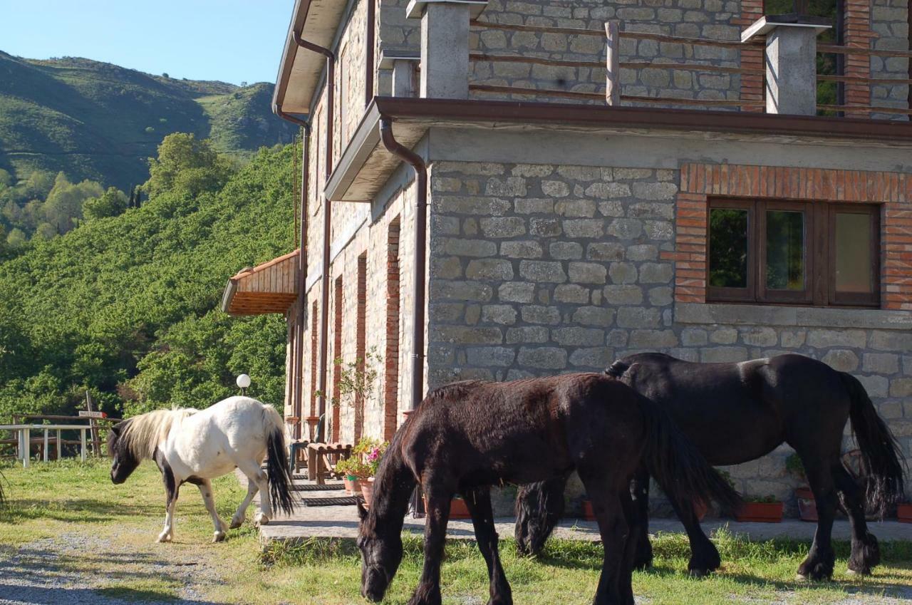 Villa Agriturismo Il Capitano Floresta Exterior foto