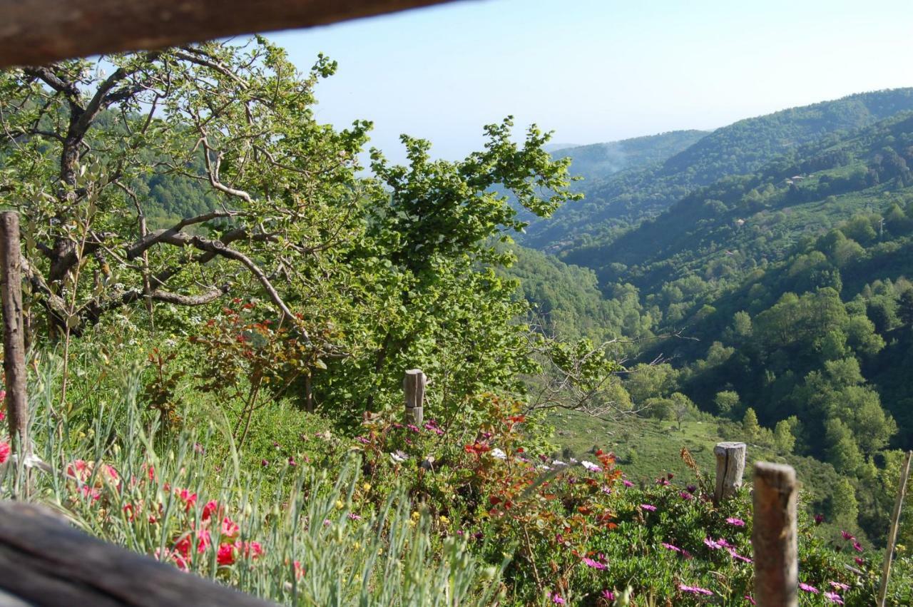 Villa Agriturismo Il Capitano Floresta Exterior foto